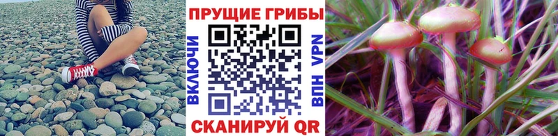Псилоцибиновые грибы ЛСД  Купить где  Кашира 