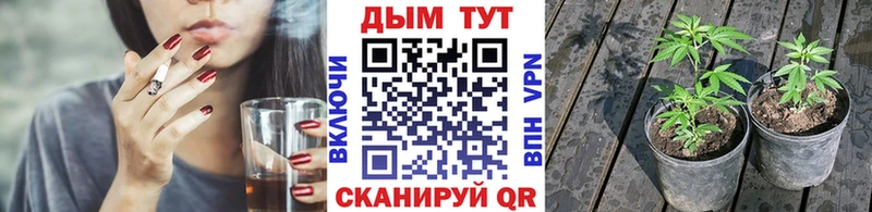 Купить  Кашира  Канабис LSD WEED 